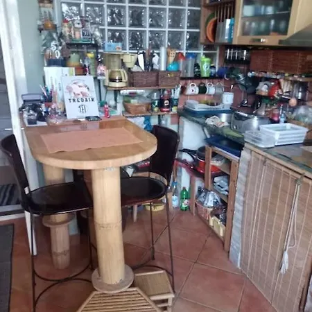 Appartement Or Working, Feel Good In The Retro Style Of A European Jiu Jitsu Champion! *